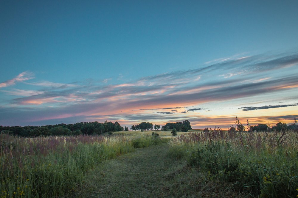 Летний вечер