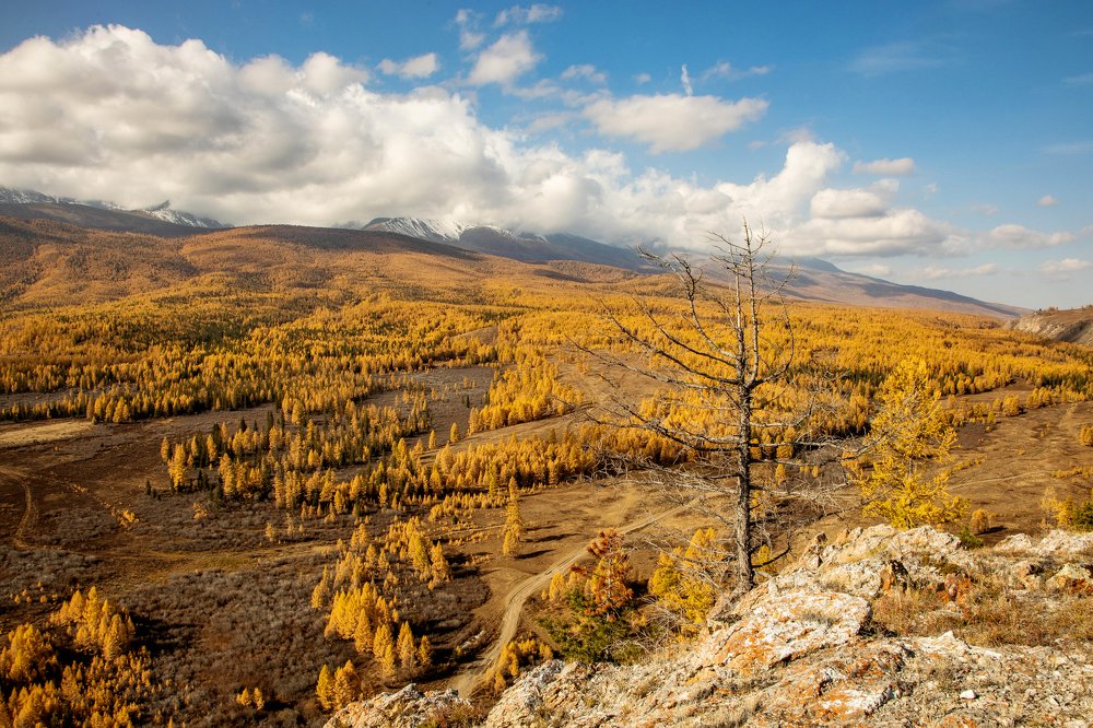 Photograph by Алексей Кустов