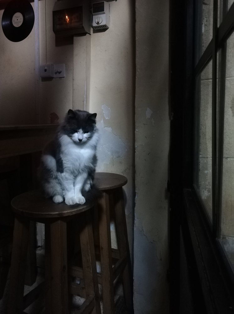 Photograph by Paul Sezonov