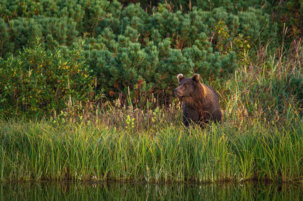 Photograph by Иван Козлов
