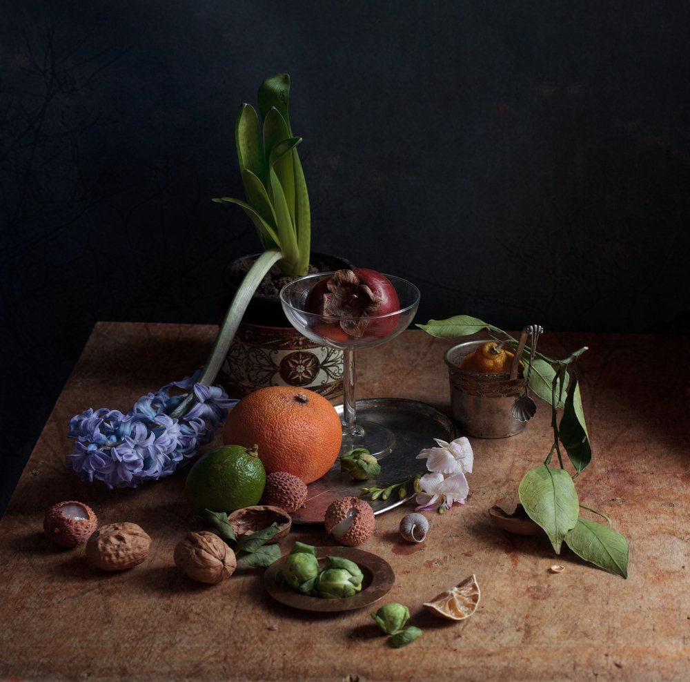 Photograph by marianna marina