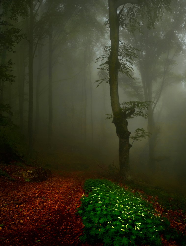 Фотография автора Владимир Метцгер