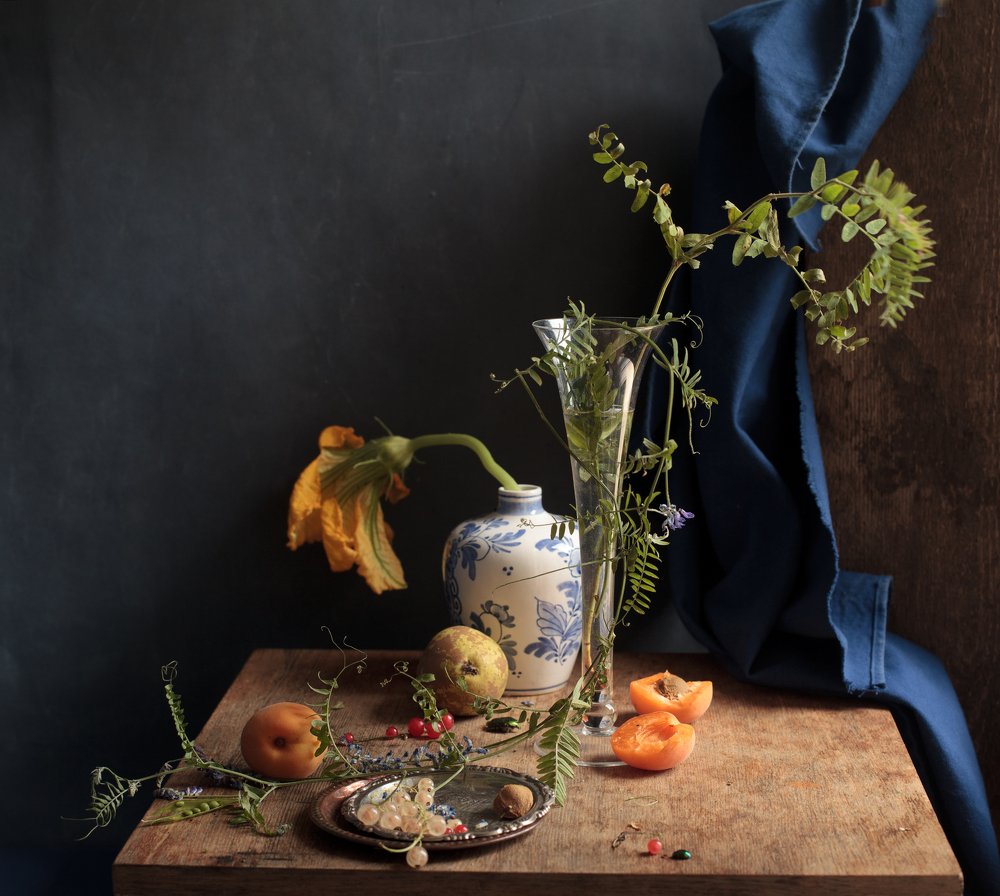 Photograph by marianna marina