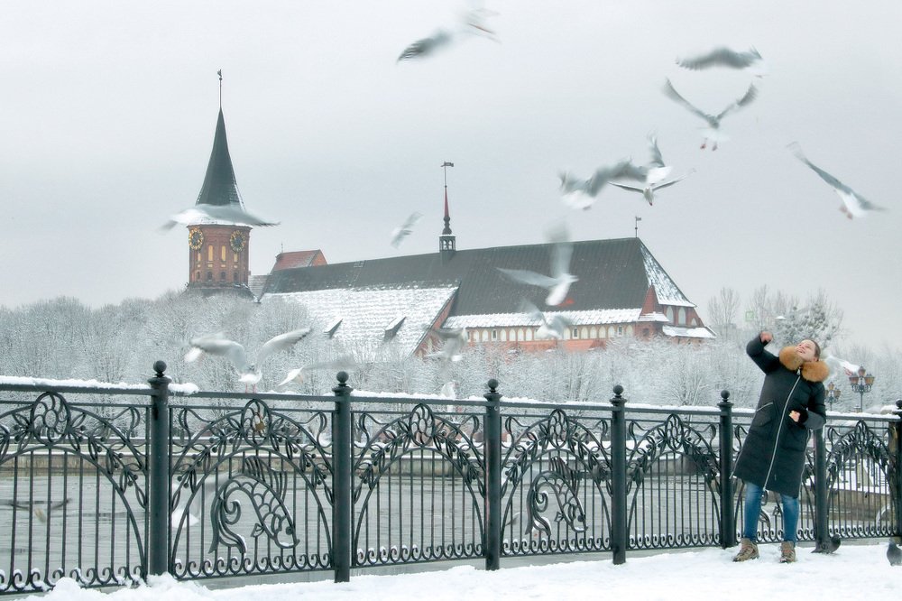 Photograph by Владимир Петрукович