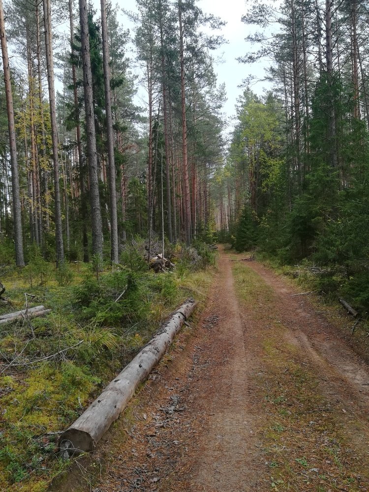 Photo #4352625