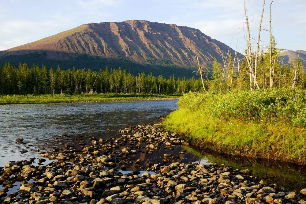 Вечер на реке