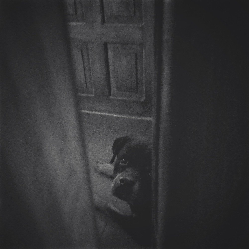 Дьябло \ Diablo