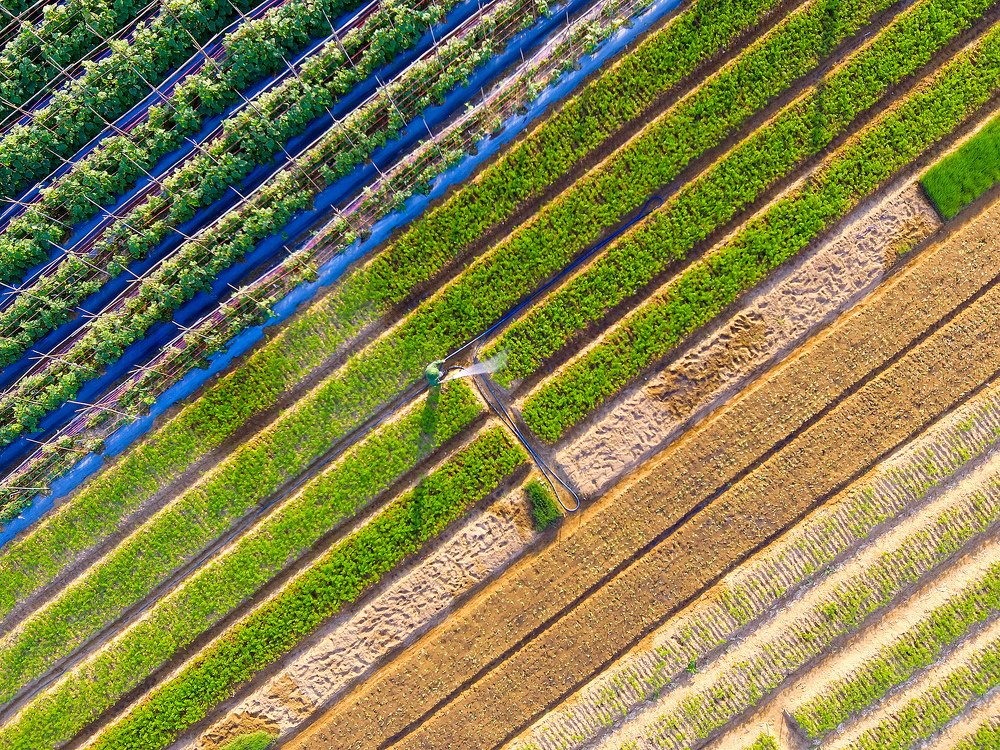 Photograph by Ngoc Cuong Nguyen