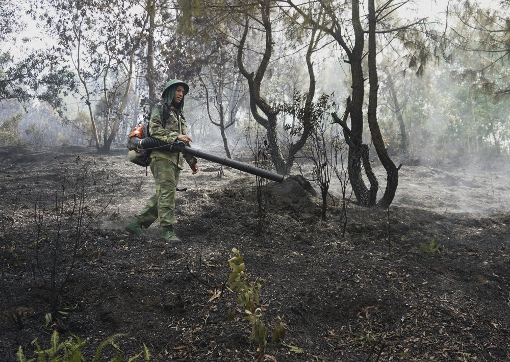 Photograph by Ngoc Cuong Nguyen
