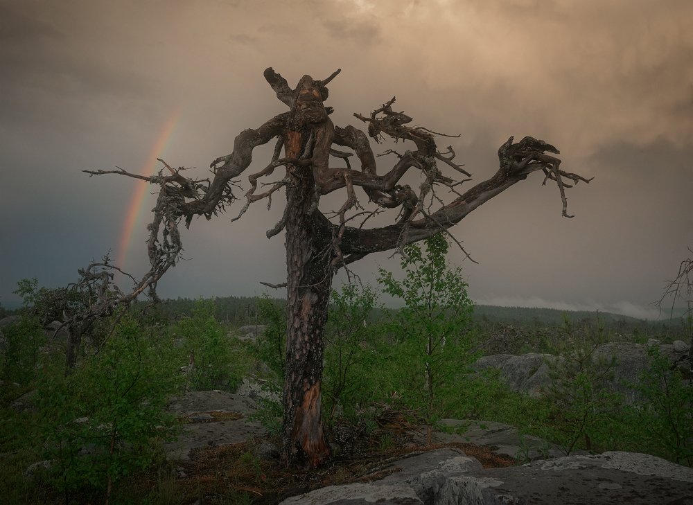 Вотоваара. Хранитель