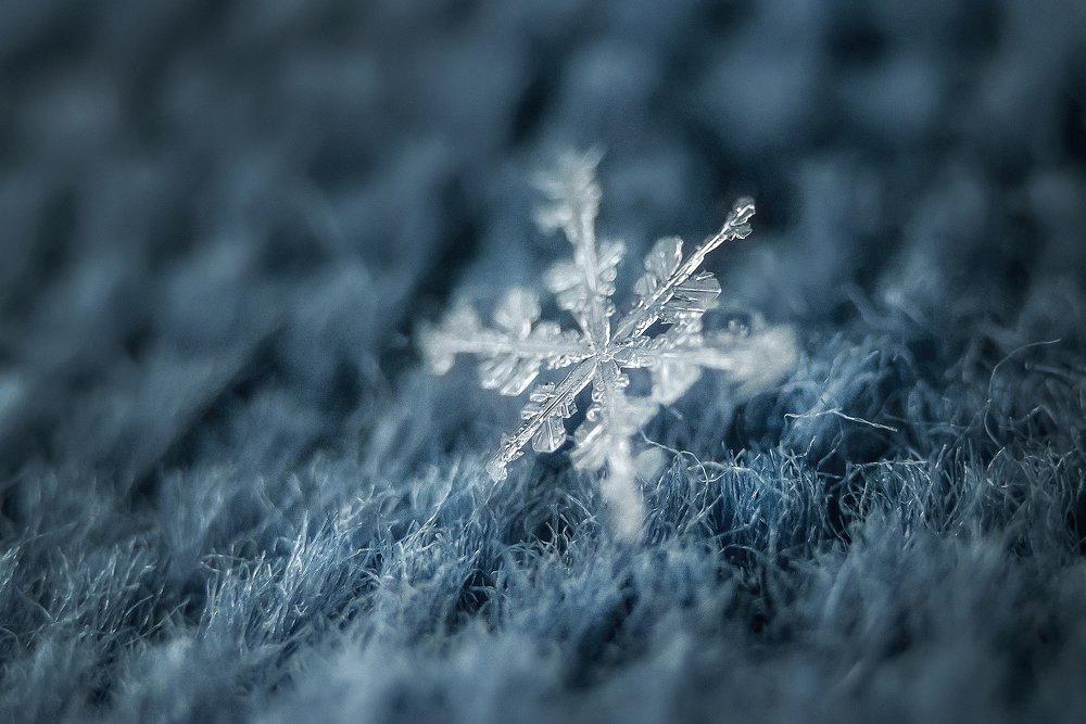 Photograph by Настя Омельченко