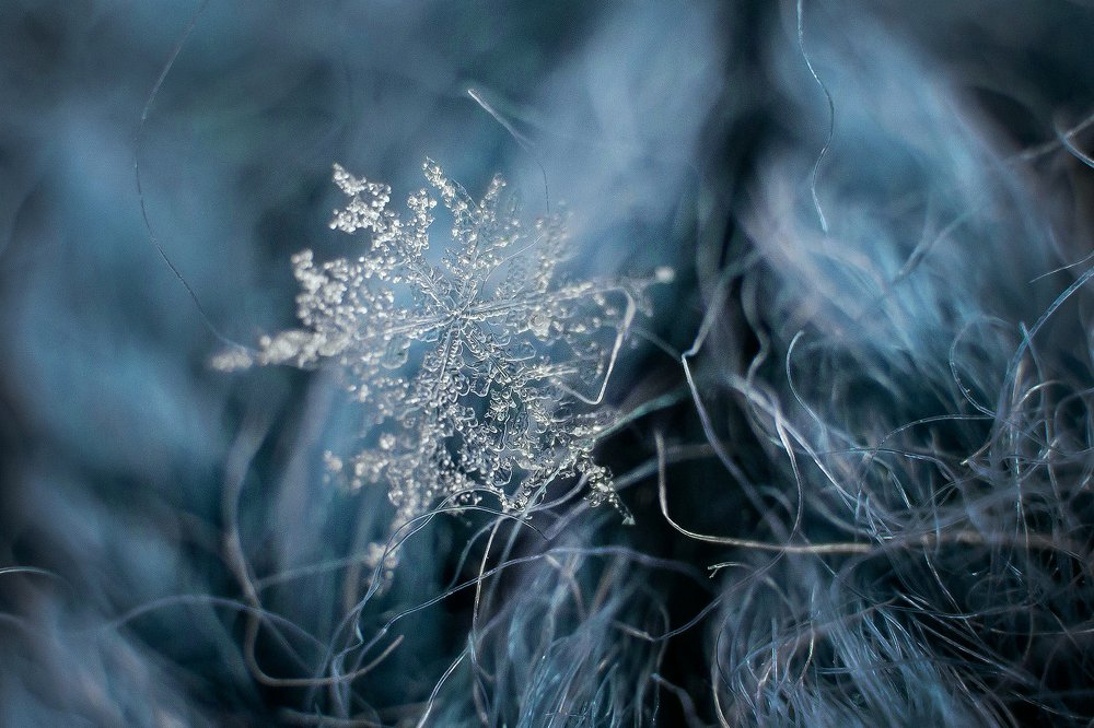 Photograph by Настя Омельченко