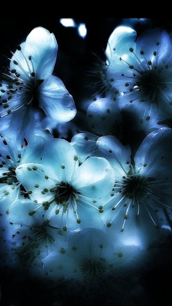 " Мерцающий аромат "