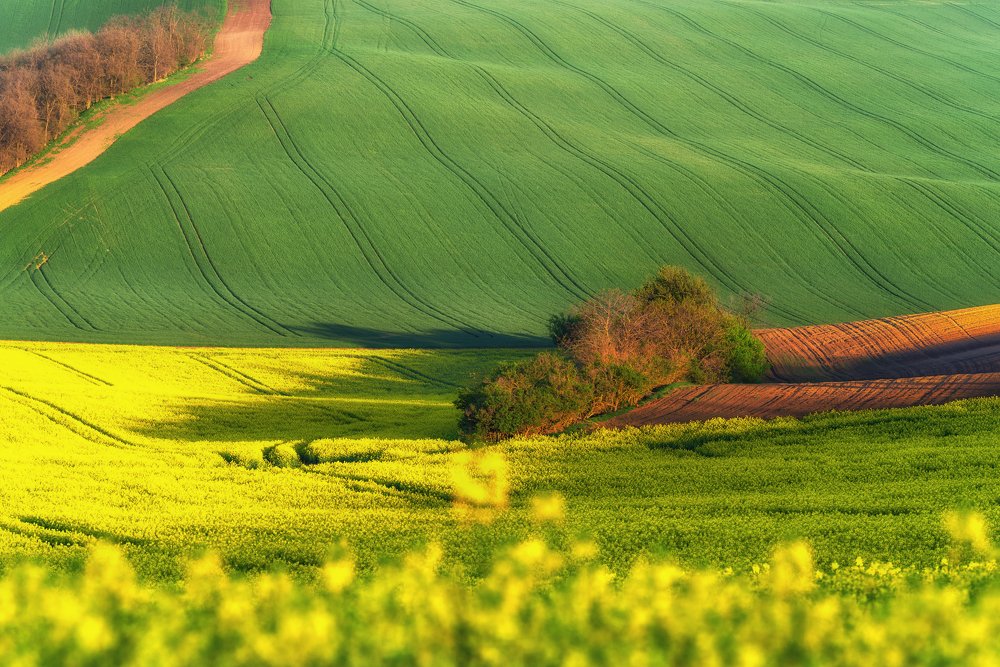 Photograph by 