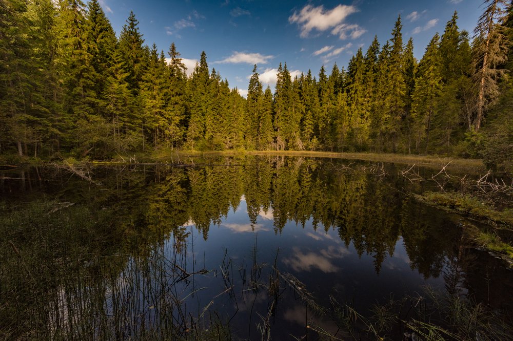 Photograph by Sergiu Vasile Bejan