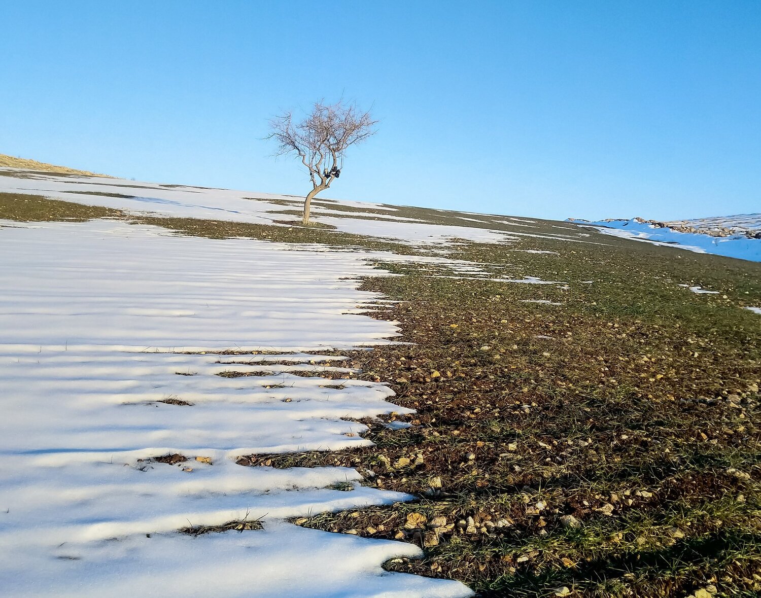 Photo #4353068