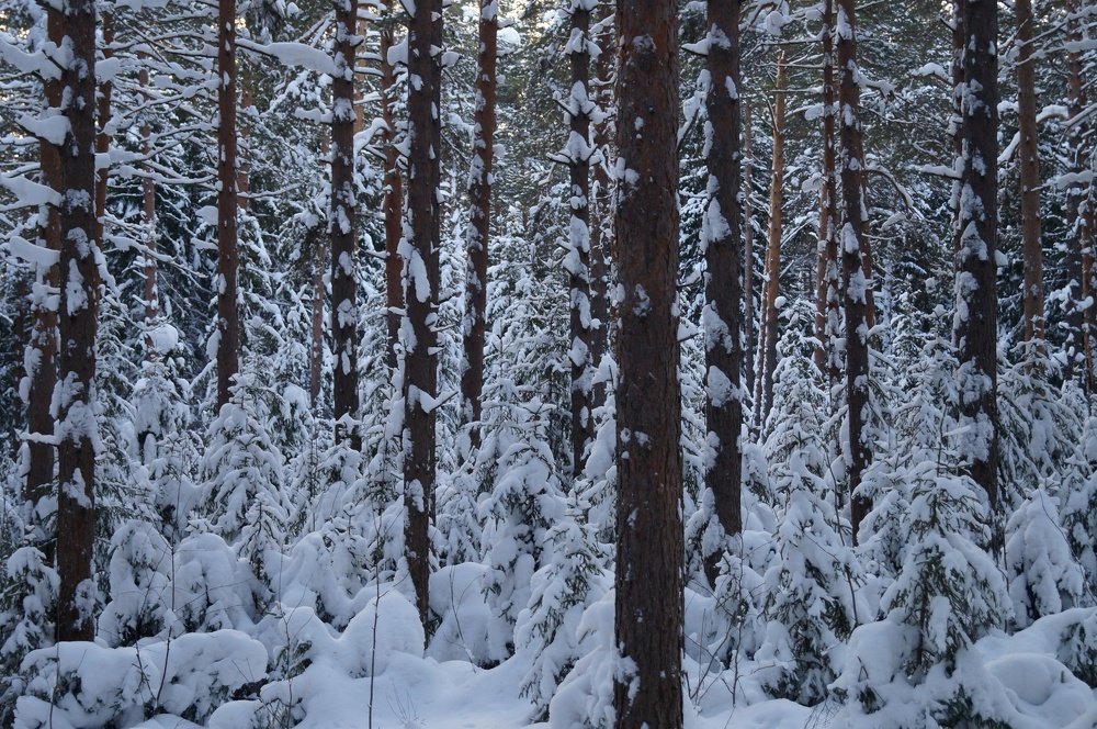 Снежная стена.