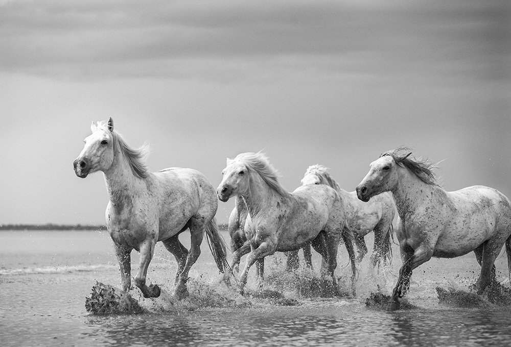 Photograph by Галина Ломако