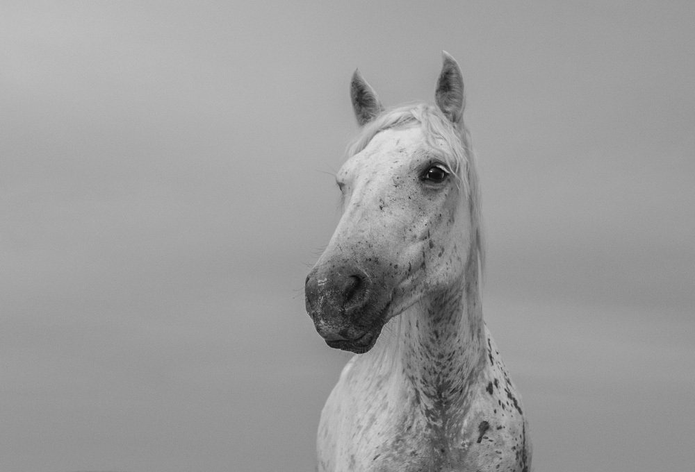 Photograph by Галина Ломако