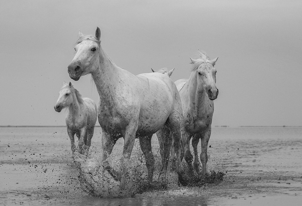 Photograph by Галина Ломако