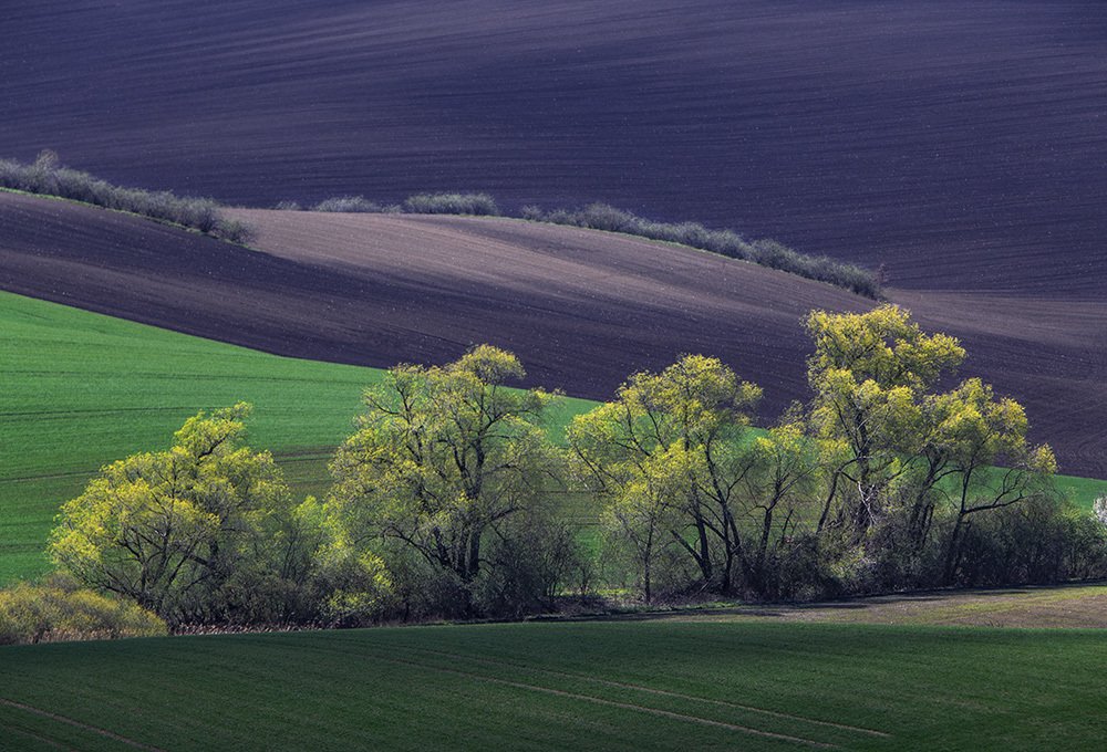 Photograph by Галина Ломако