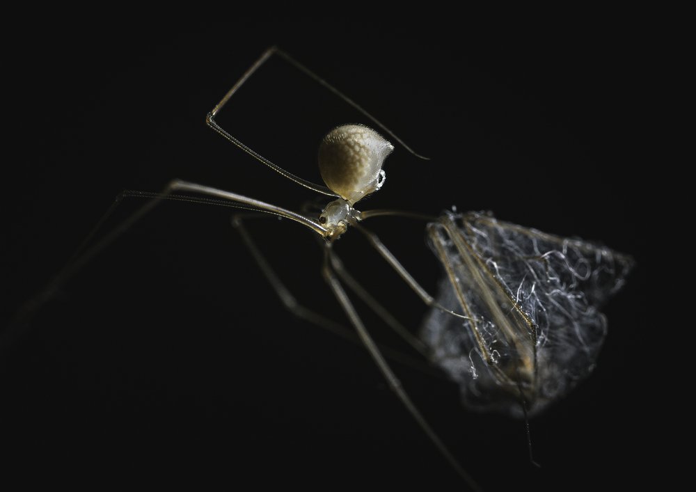 Photograph by Reynante Martinez