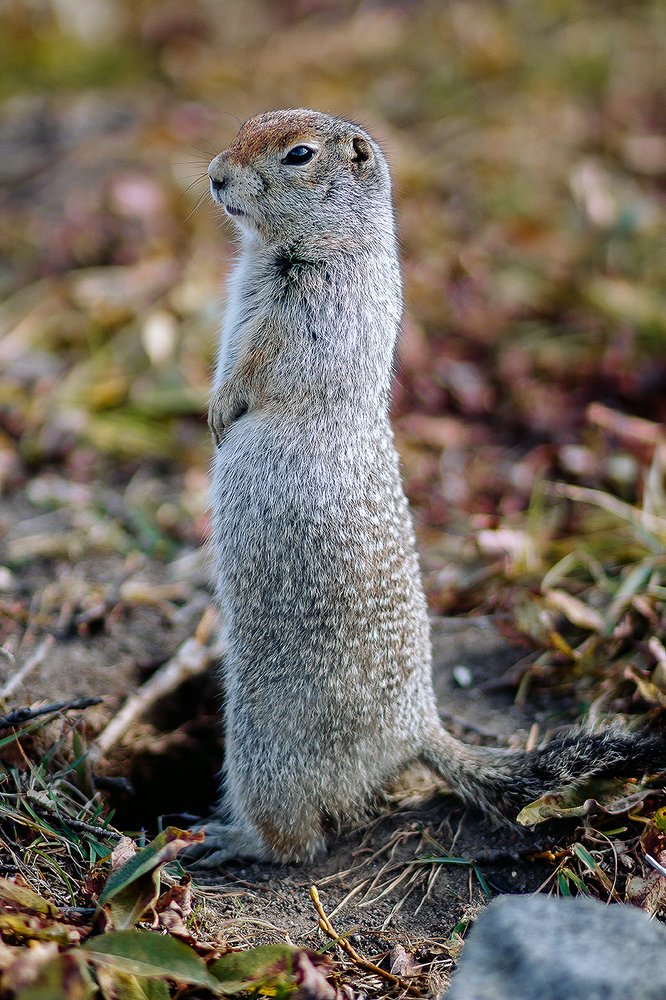 Photograph by Светлана