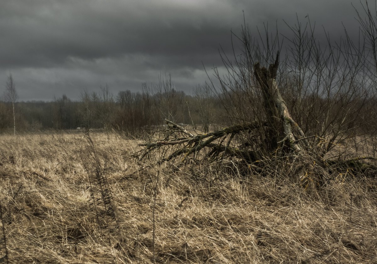 Photo #4353347