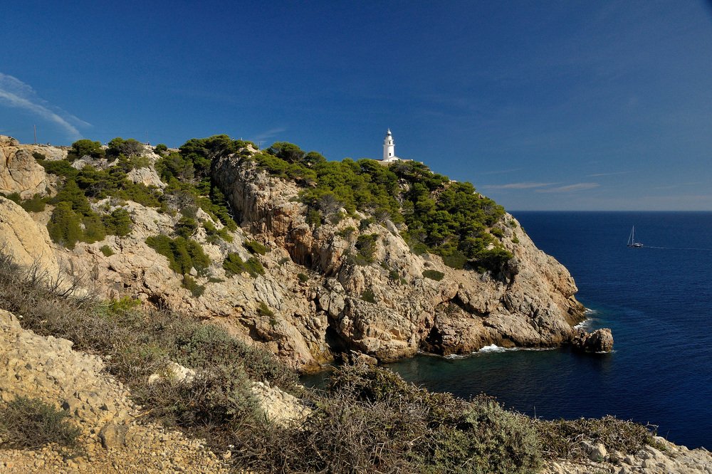 Photograph by Игорь Овсиенко