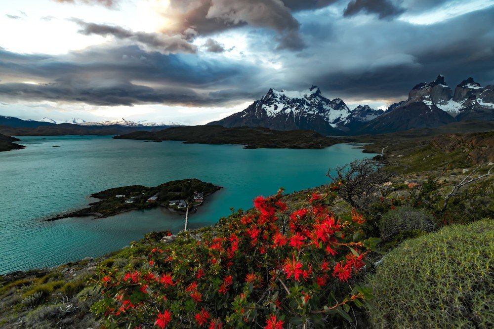 Photograph by jorge arnoten