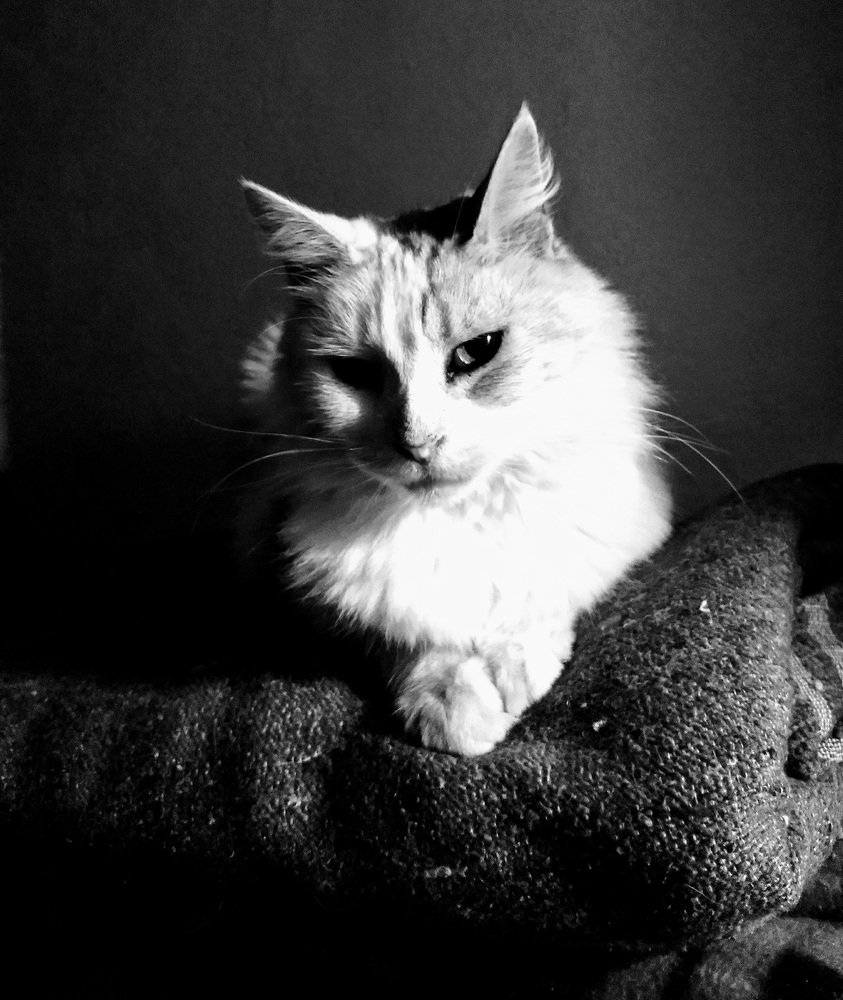 Pini posing for a photo