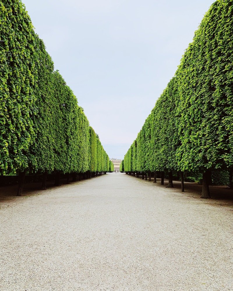 Photograph by Мария