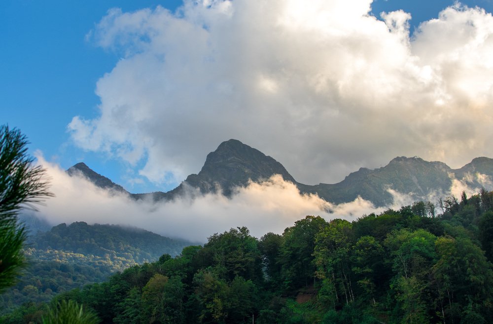 Photograph by Наталья