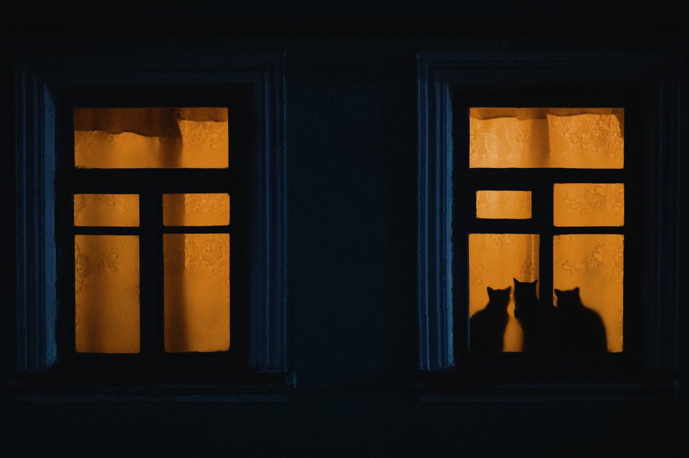 Photograph by George Malets