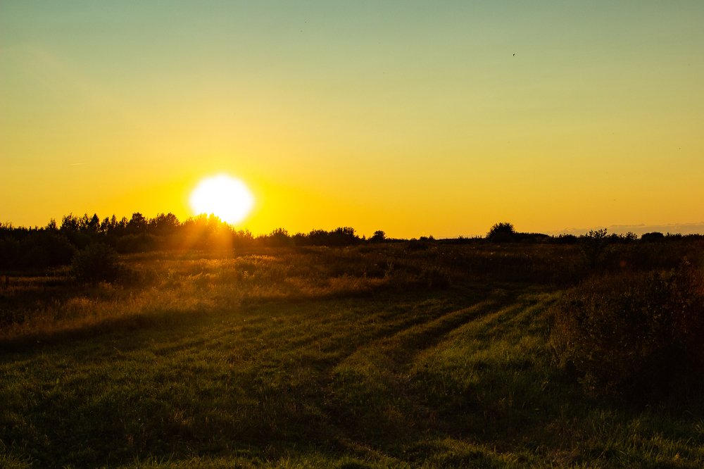 Солнечные лучики