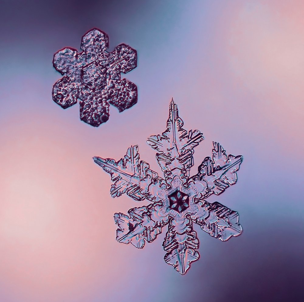 Радужно-нежная