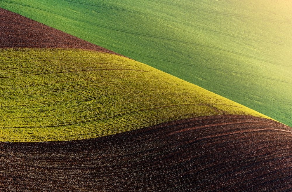 ON THE WAWES OF SOUTH MORAVIA