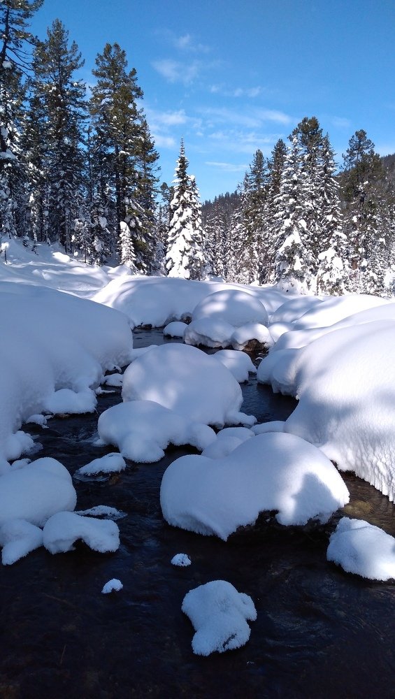 Photograph by Тирская Юлия