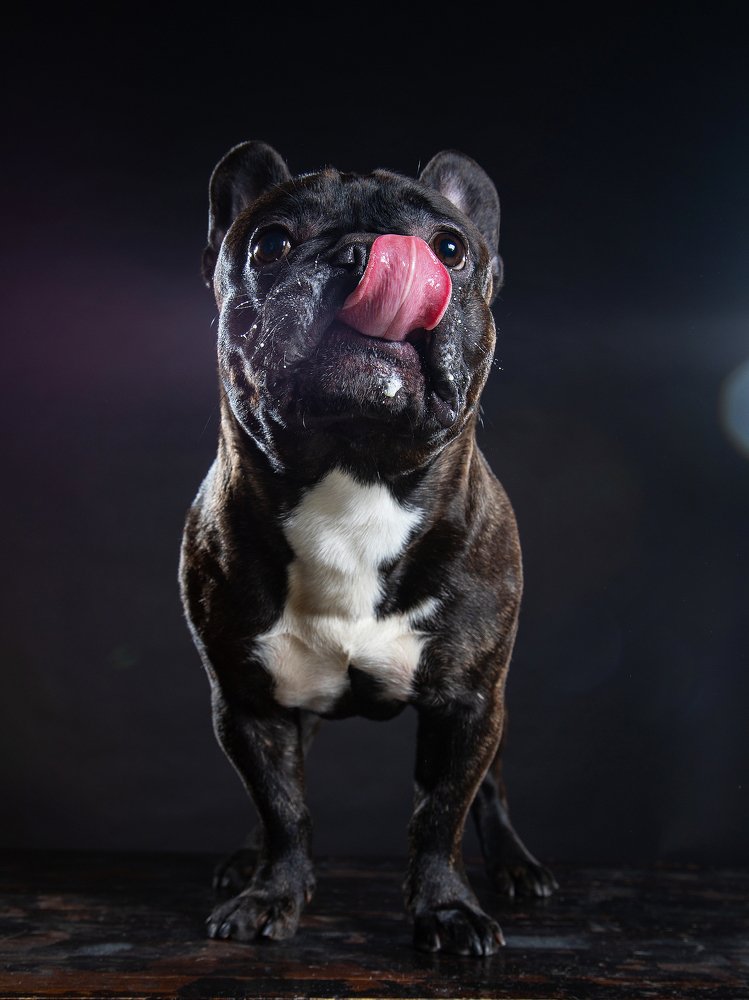 Photograph by Алла Чернова