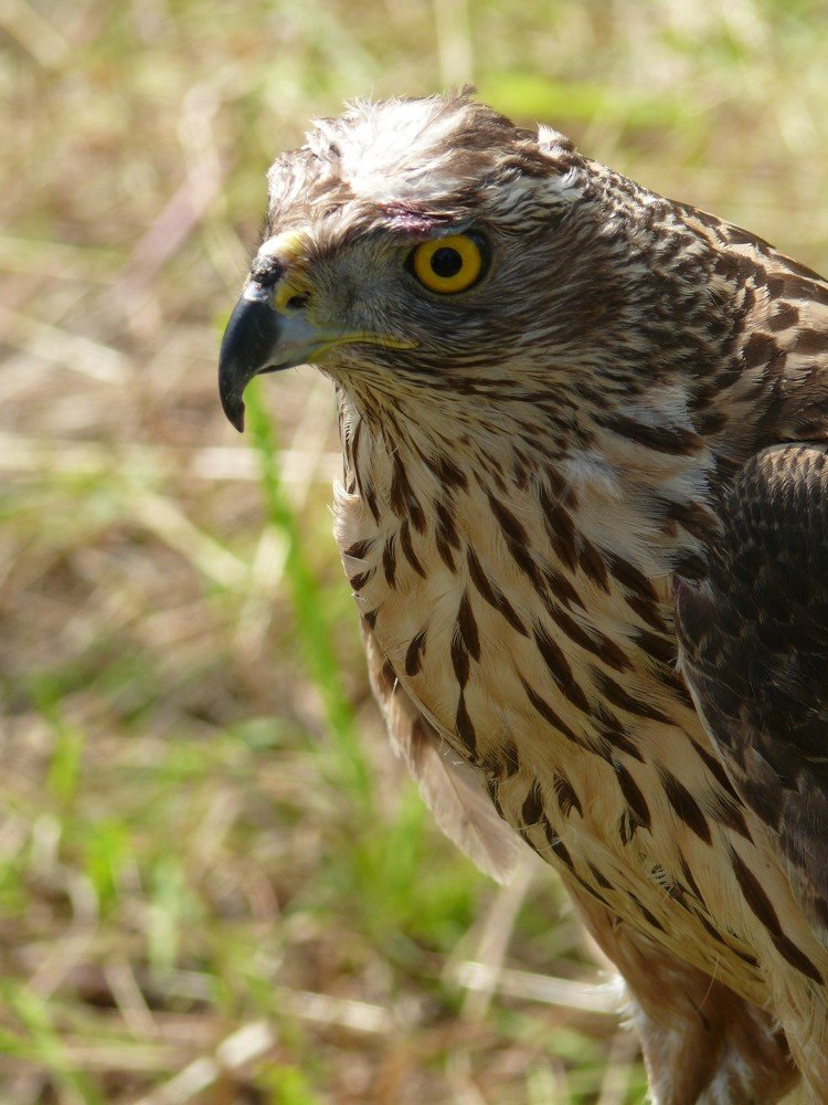 Photograph by Марина Игнатьева