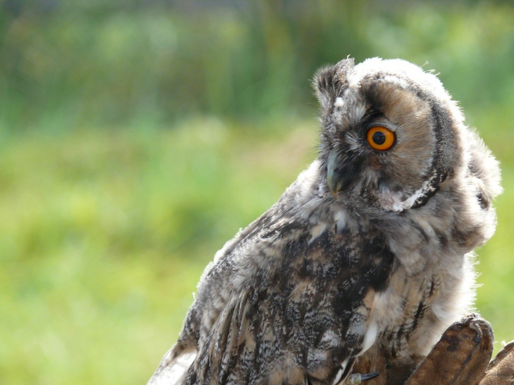 Photograph by Марина Игнатьева