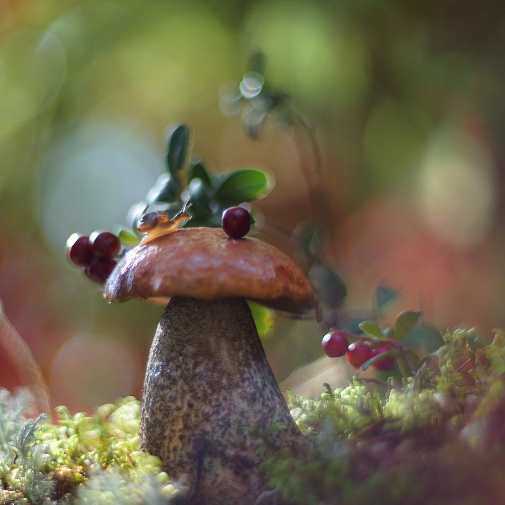 Photograph by Ольга Старикова