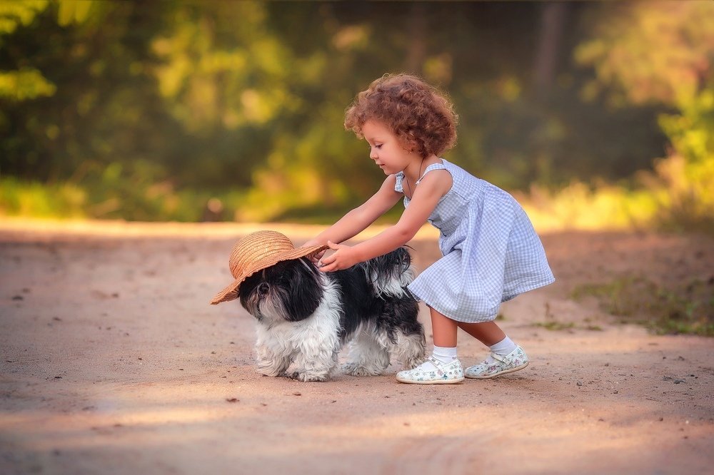 Летняя прогулка