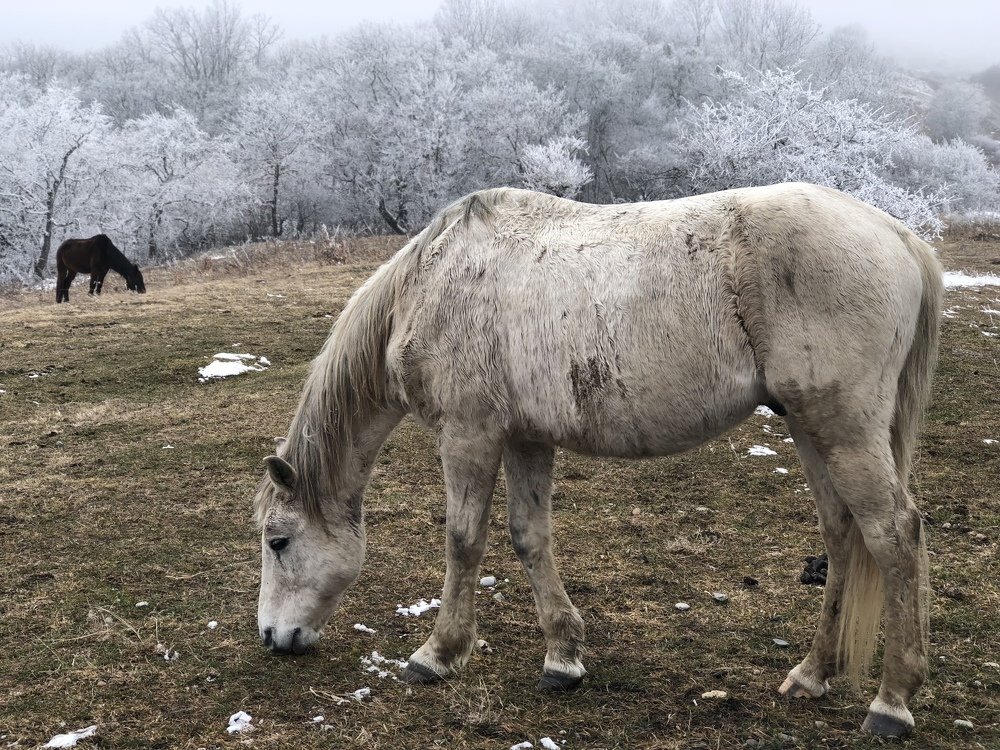 Photograph by Фатима Хуштова