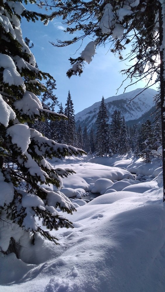 Photograph by Тирская Юлия