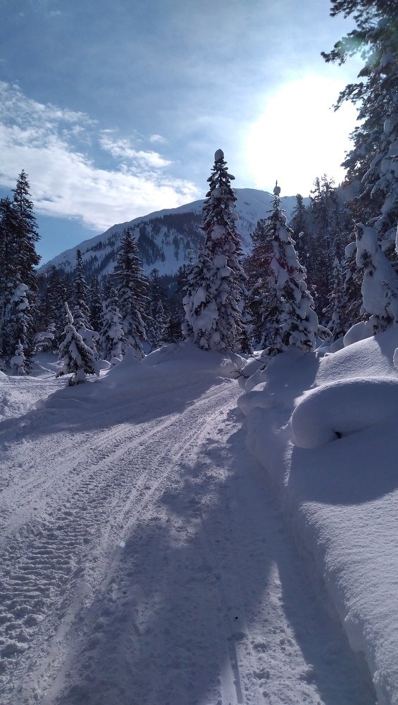 Photograph by Тирская Юлия