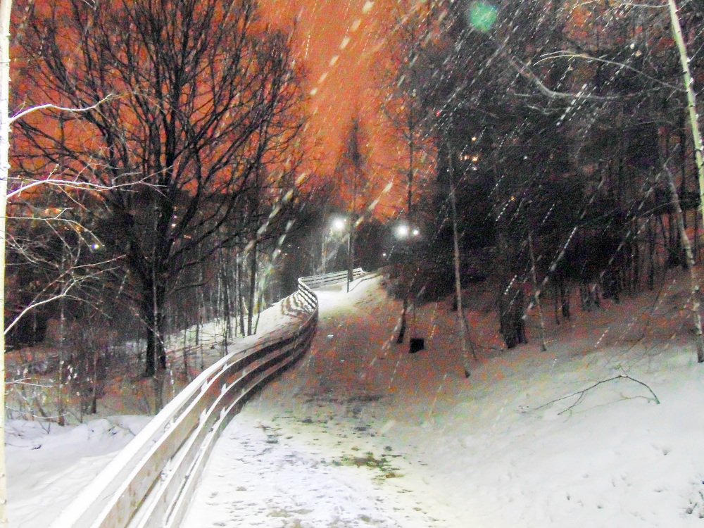 Photograph by Алена