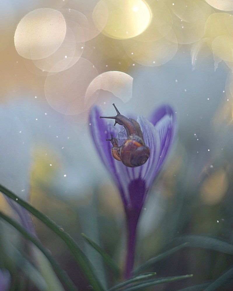 Photograph by Ольга Старикова