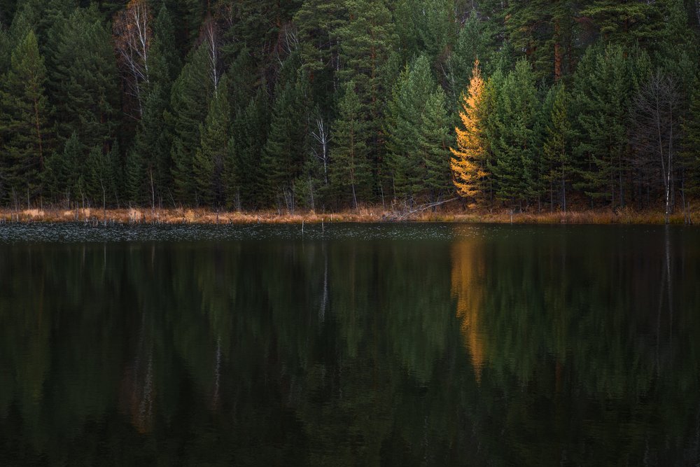 Photograph by Константин шумский