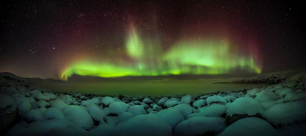 Северный Феникс